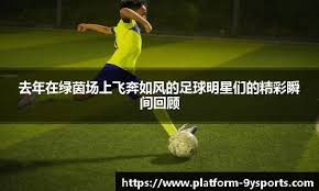 体育总局：无正当理由拒绝国家队征召的运动员等实施行业惩戒