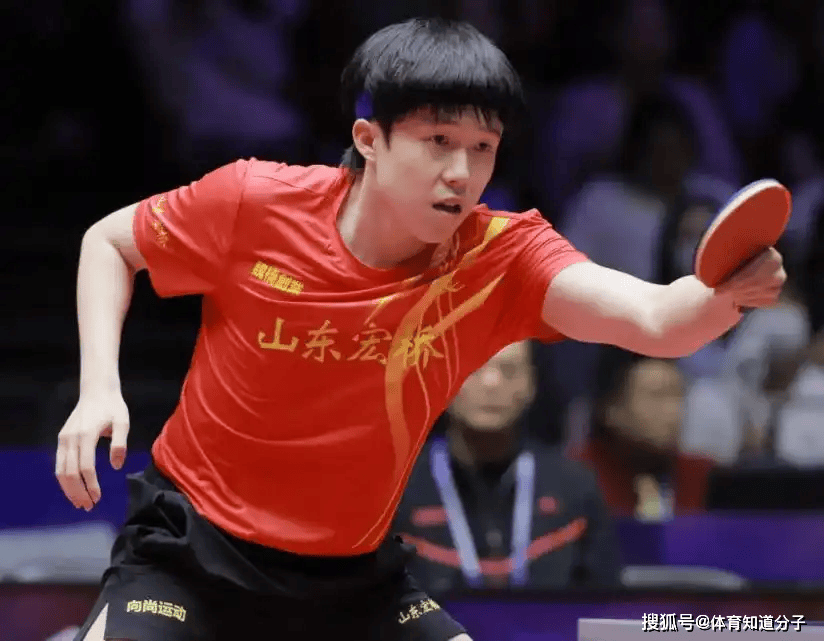 在近几年已 在近几年已